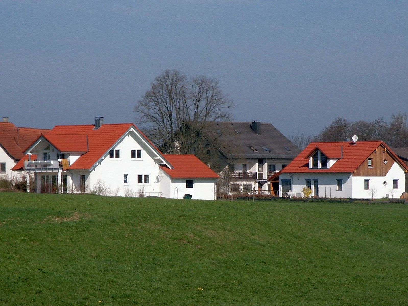 Schönhardt Farrenwiesen